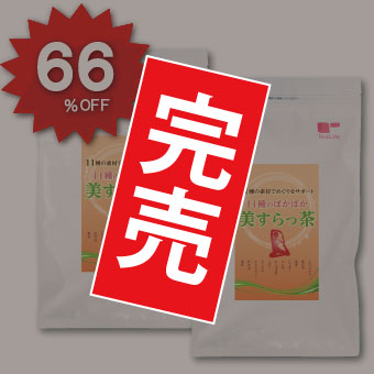 セール ぽかぽか美すらっ茶ポット用30個入2袋セット