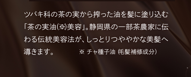 茶の実油がしっとりつややかな美髪に導きます