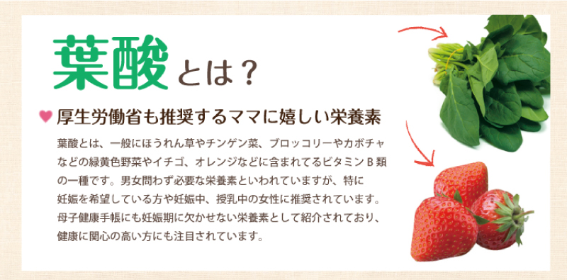 葉酸入りルイボスティー