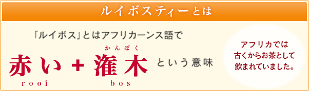 ルイボスティーとは