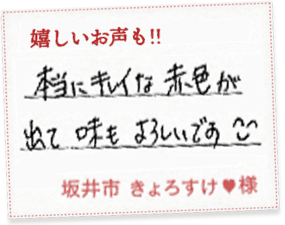 本当にキレイな赤色…