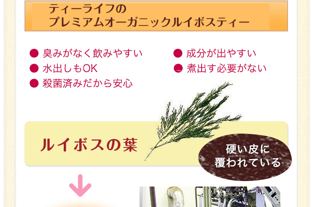 ティーライフのルイボスティー