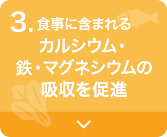 カルシウム・鉄・マグネシウムの吸収促進