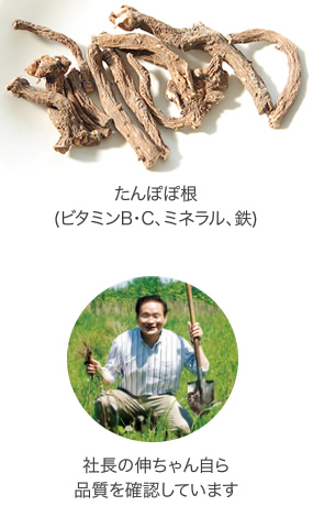 たんぽぽ根 助産師さんもイチオシの素材