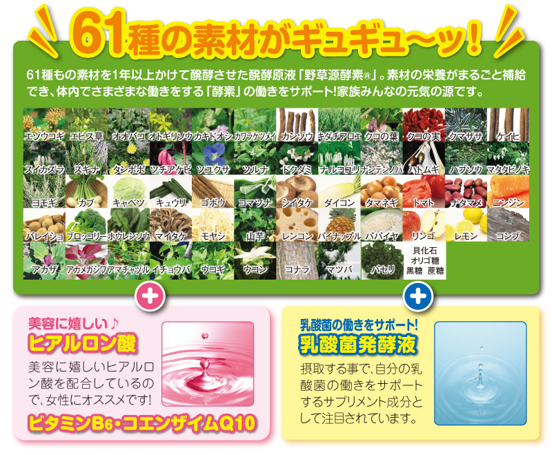61種の素材がギュギュ〜ッ!