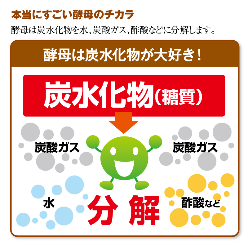 本当にすごい酵母のチカラ