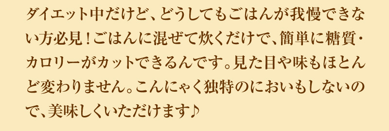 ダイエット中だけど、どうしてもごはんが我慢できない方必見!