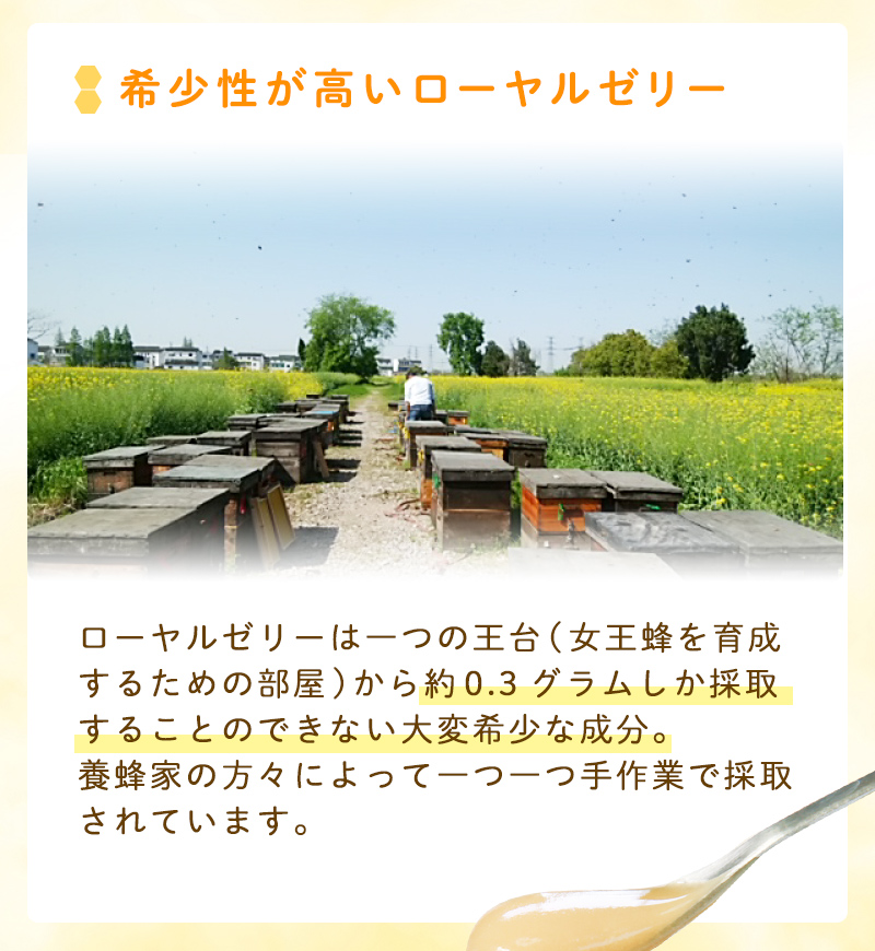 希少性が高いローヤルゼリー 一つの王台(女王蜂を育成するための部屋)から約0.3グラムしか採取することのできない大変希少な成分