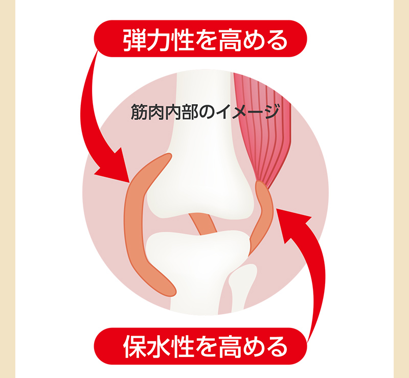 弾力性を高める・保水性を高める