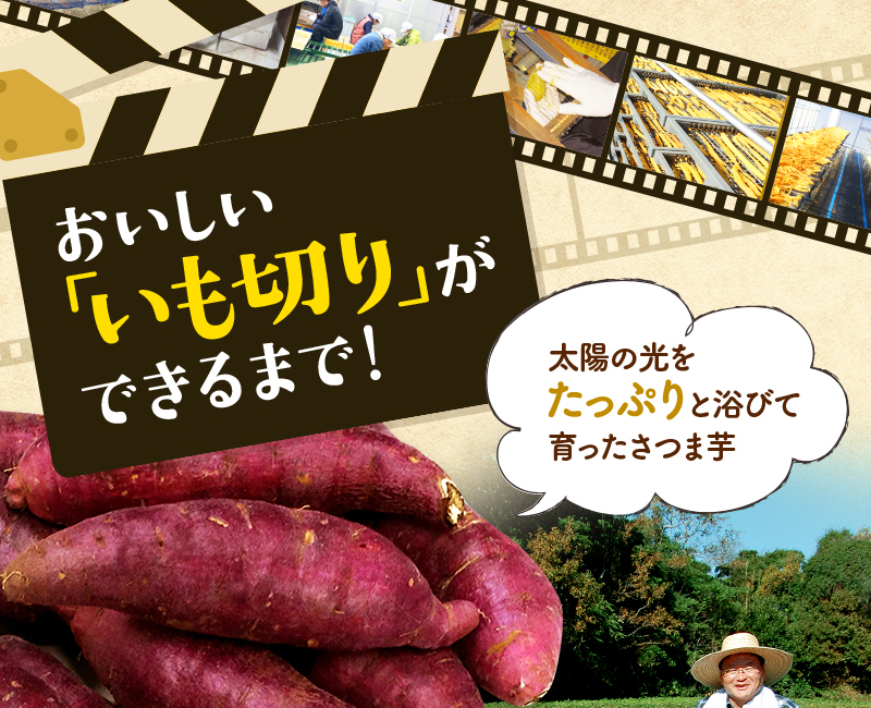 おいしい 「いも切り」が できるまで！「太陽の光をたっぷりと浴びて育ったさつま芋」