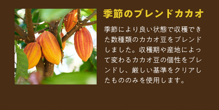 季節のブレンドカカオ
