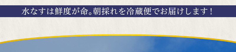 水なすは鮮度が命。朝採れを冷蔵便でお届けします！