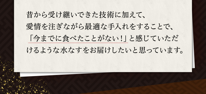 昔から受け継いできた技術に加えて、愛情を注ぎながら最適な手入れをすることで、「今までに食べたことがない!」と感じていただけるような水なすをお届けしたいと思っています。