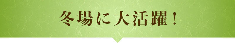 冬場に大活躍!