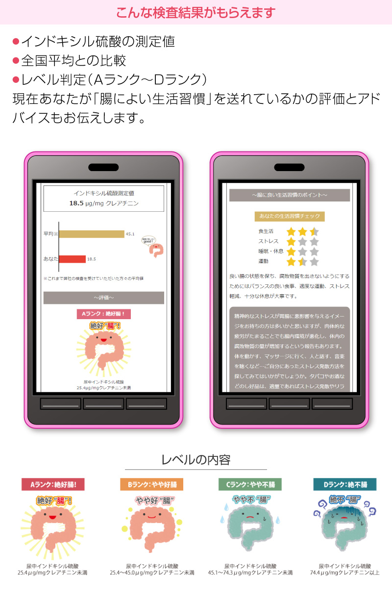 こんな検査結果がもらえます