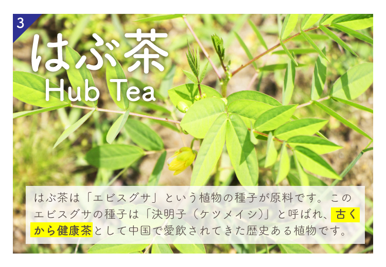 はぶ茶