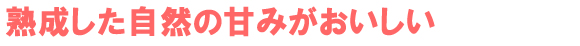 熟成した自然の甘みがおいしい