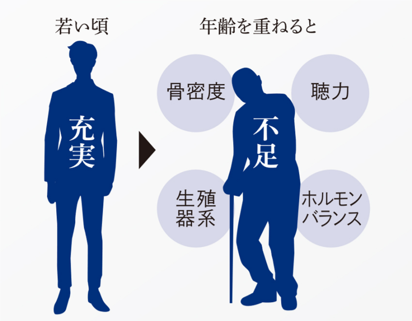 若い頃 充実 年齢を重ねると 骨密度 聴力 生殖器系 ホルモンバランス 不足