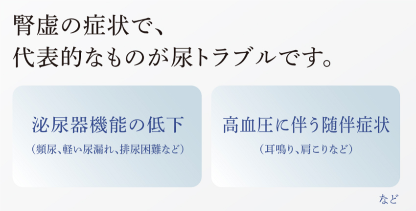 腎虚の症状で、代表的なものが尿トラブルです。 泌尿器機能の低下(頻尿、軽い尿漏れ、排尿困難など) 高血圧に伴う随伴症状(耳鳴り、肩こりなど)など