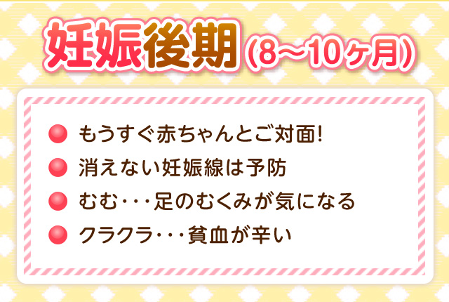 ティーライフ 妊娠初期8 10ヶ月