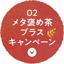02 メタ褒め茶プラスキャンペーン