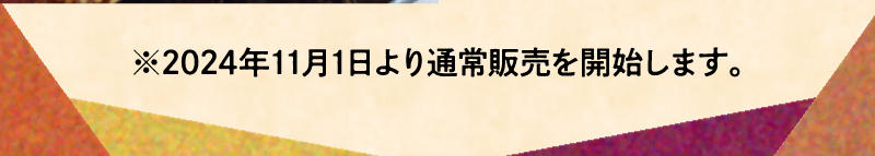 ※2024年11月1日より通常販売を開始します