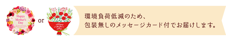 環境負荷低減のため、包装無しのメッセージカード付でお届けします。