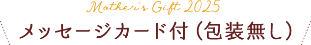 メッセージカード付（包装無し）