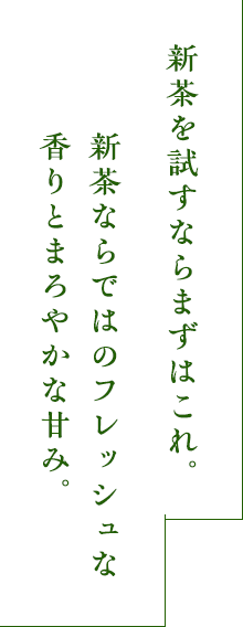 新茶おすすめ① 新茶の爽やかさと甘みを生かした「生新茶」